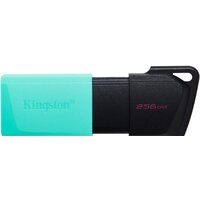 USB Flash Kingston DataTraveler Exodia M 256GB - фото1