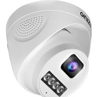 IP-камера Ginzzu HID-4301A - фото1
