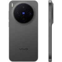 Телефон Vivo X300 V2515 12GB/256GB международная версия (черный) фото-3