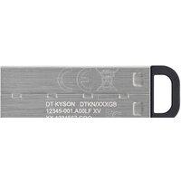 USB Flash Kingston Kyson 256GB - фото2