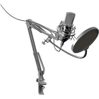 Проводной микрофон Ritmix RDM-169 Проводной микрофон Ritmix RDM-169