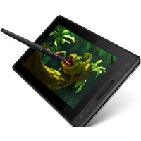 Графический монитор Huion Kamvas Pro 12 GT-116 фото-2