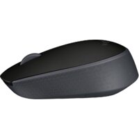 Мышь Logitech M171 (черный) - фото2