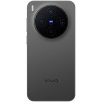 Телефон Vivo X300 V2515 12GB/256GB международная версия (черный) фото-2